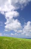 Cornish Sky bright grass * 511 x 800 * (93KB)